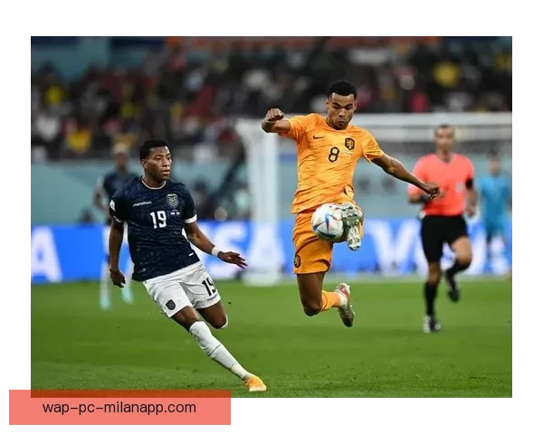 荷兰美女足球队绽放绿茵场实力与颜值并存的橙色风暴传奇之路